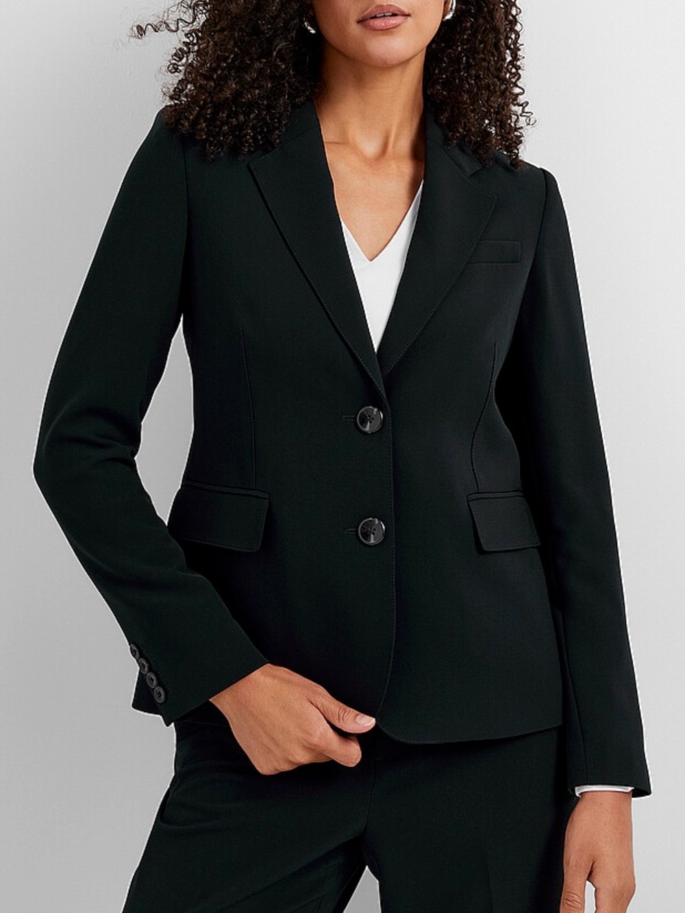 Aritzia Babaton Two-Button Blazer